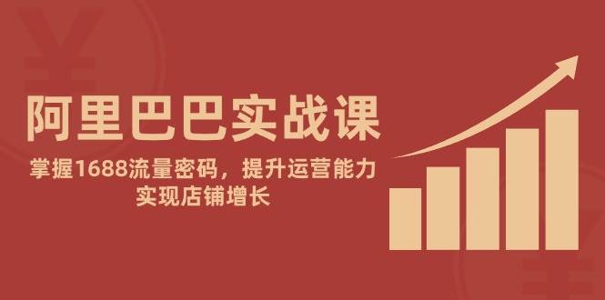 14830阿里巴巴实战课：掌握1688流量密码，提升运营能力，实现店铺增长-即用库