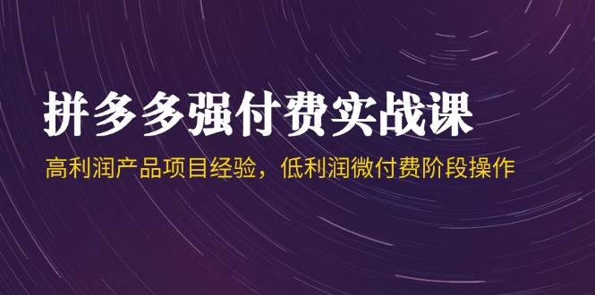 14874拼多多强付费实战课-44期，高利润产品项目经验，低利润微付费阶段操作-即用库
