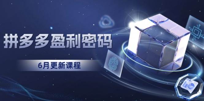 15005拼多多盈利密码：从烧钱推广到印钞模型，底层逻辑重构指南6月更新）-即用库