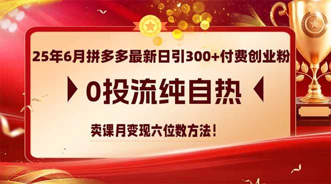 1498925年6月拼多多最新日引300+付费创业粉，0投流纯自热 卖课月变现六位数方法-即用库