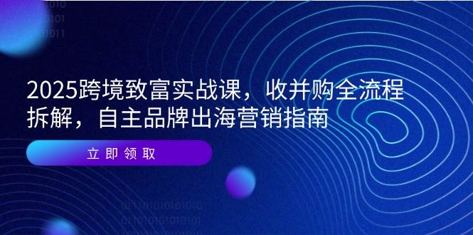 149752025跨境致富实战课，收并购全流程拆解，自主品牌出海营销指南-即用库