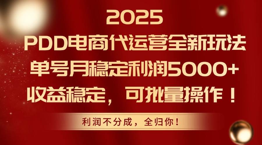 148392025PDD电商代运营全新玩法，单号月稳定利润5000+，收益稳定，可批量操作-即用库