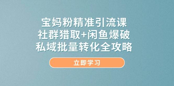 14820宝妈粉精准引流课，社群猎取+闲鱼爆破，私域批量转化全攻略-即用库