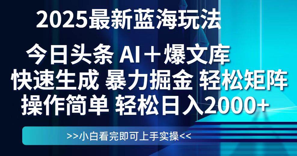 14805今日头条2025最新蓝海玩法，思路简单，复制粘贴，轻松实现矩阵日入2000+-即用库